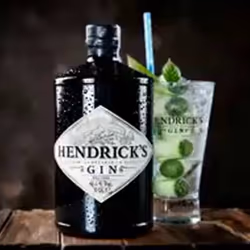 Gin